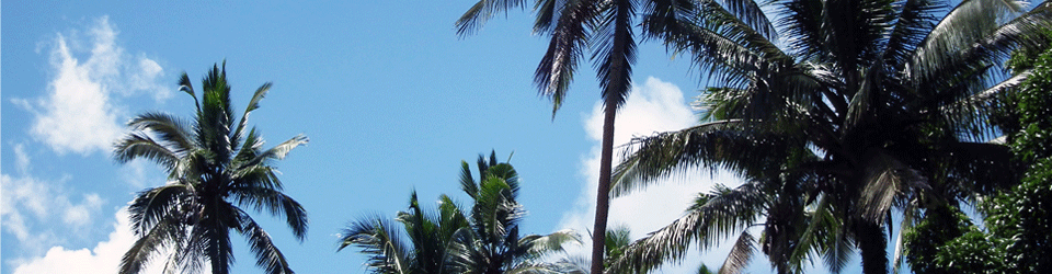 Fiji honeymoon